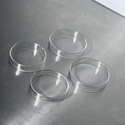 Glass Petri Dish (1 pair)
