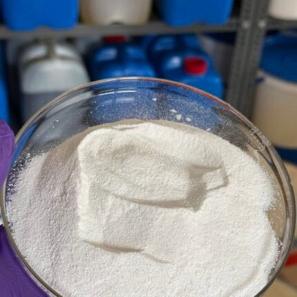 Papain Enzyme Powder