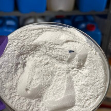 Bromelain Enzyme Powder