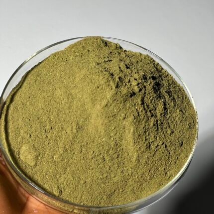 Moringa powder