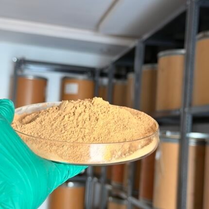 Amla powder